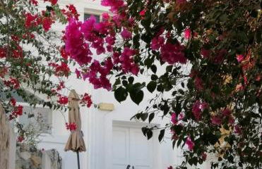 Loukas Kontos Traditional House - Foto 38