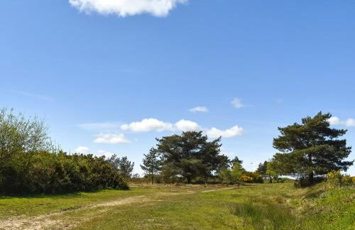 The Dairy - Photo 27