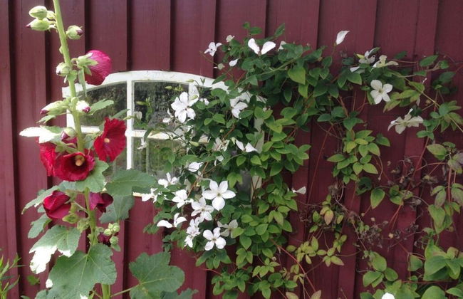 Holiday Home Old Kate - Foto 22