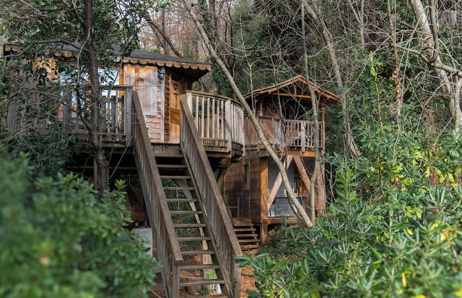 Orion Tree houses - Foto 25