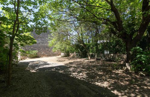 Chez Mémé De La Maréchale - Photo 21