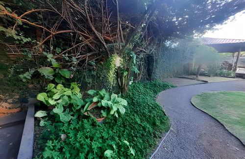 Recanto do Marcô, casa charmosa em meio a natureza - Foto 21