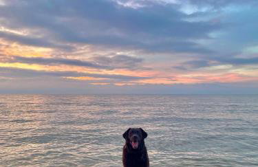 Czerwone Domki - Foto 28