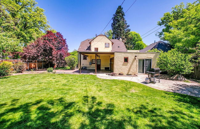 The Brandy Alexander - Foto 56