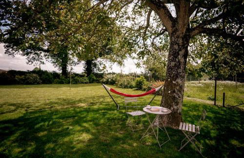 Proche PuyDuFou - Gite Maison La Roulière - Foto 35