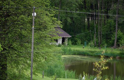 Agroturystyka w Dolinie Raty - Foto 15