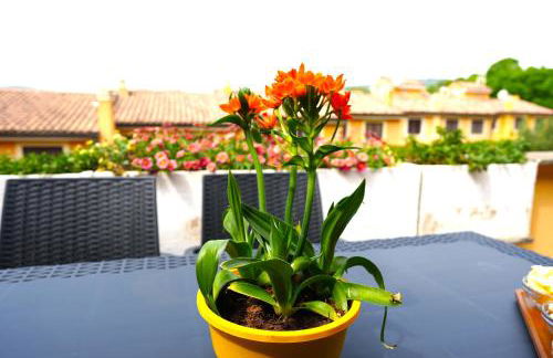 JANNUZZI HOUSE - Foto 40