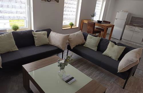 OG große Wohnung - Foto 4