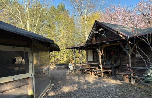 Agroturystyka Traperska Osada - Foto 68