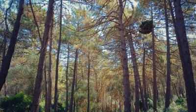 L'hotelet 16 Rural loft - Foto 2