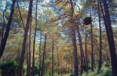 L'hotelet 16 Rural loft - Foto 2