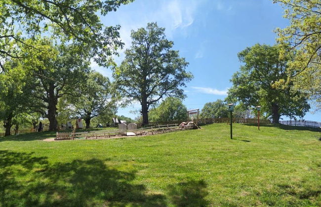 Entrada para la Ruta del Ratoncito Pérez - Foto 10