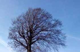 Appartamento Turistico Dal Morino - Foto 18