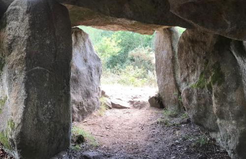Pierre et mer au cœur de Saint Cado - Foto 34