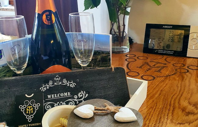 Vineyard cottage Matej - Foto 20