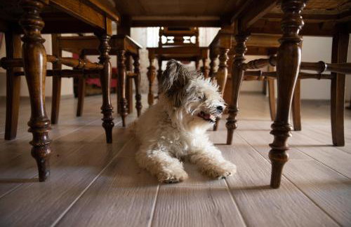 DAMJANIĆ HOLIDAY HOUSE - Foto 11