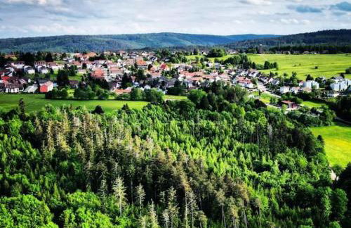 Gemütliches Apartment am Kurhaus in Dobel - Foto 24