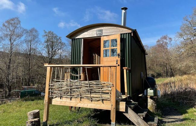 Cosy Woodland off Grid Shepherds Hut - Rowan - Foto 27