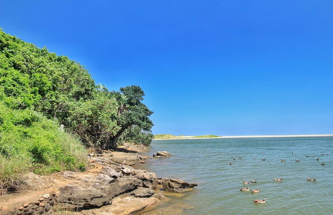 Caribbean Estate Deluxe - Photo 42