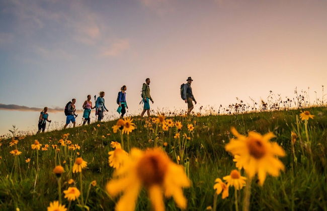 Cosy Studio With Terrace - Foto 36