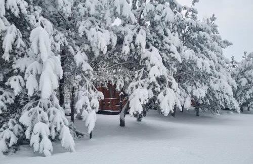 Siedlisko Janopole - Foto 1