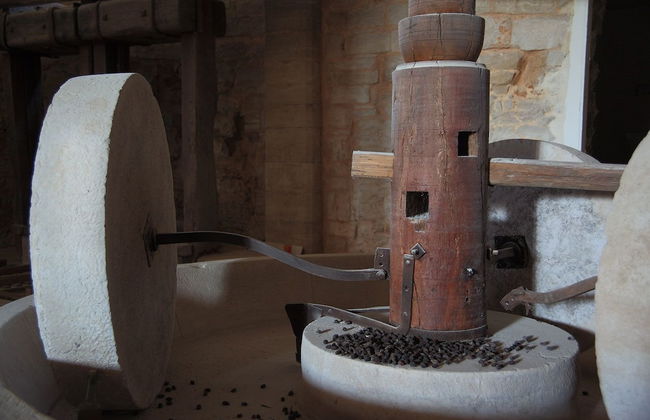 Tenuta Lama Gorga - Photo 18