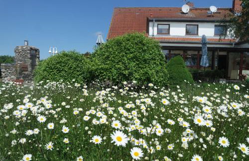 Aparthotel Schafshorn - Foto 17