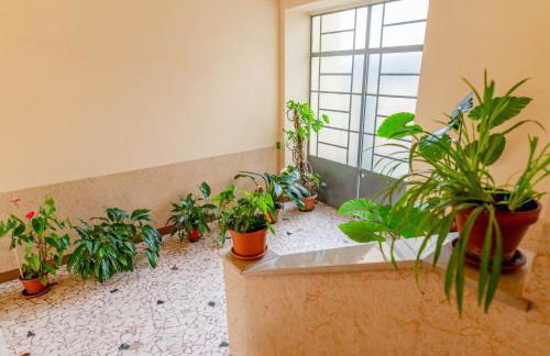 Metro Line, AC, gruppi, CASA WHITE METRO - Photo 30