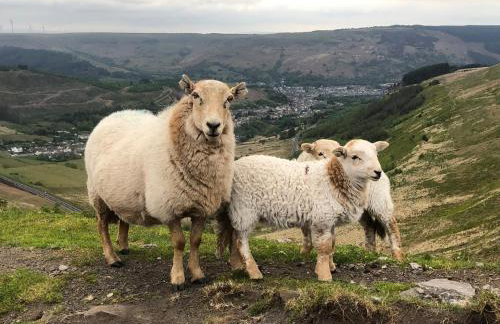 Very Special Home In Rhondda Valley Herbert House By STAE-Homes - Foto 33