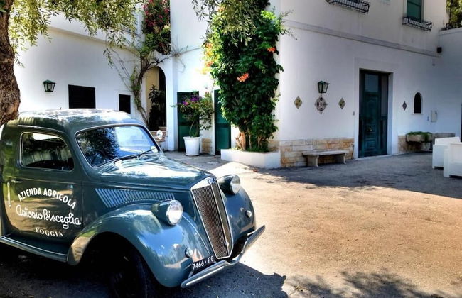 Agriturismo Giorgio - Foto 61