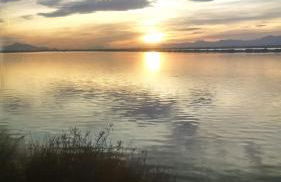 Bungalow Gran Alacant - Photo 25