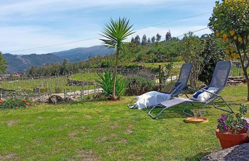 Jardim da Rosa - Foto 37