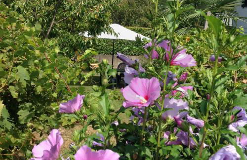 Casa del Vigneto - NEW near VENICE - rooms+bathroom - INDEPENDENT - Foto 27