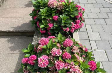 Luxuriöse Ferienwohnung EG - Foto 8