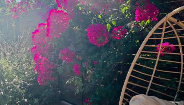 Villa Doreta - Foto 2, Garden