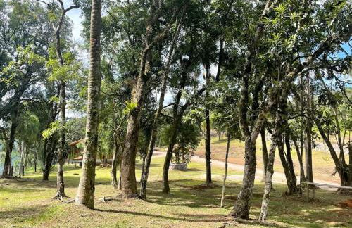 Chalé do Pinheiro em Nova Petrópolis - Foto 52