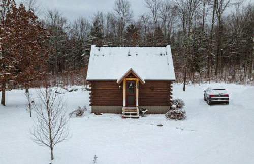Cozy Log Cabin with an Indoor Fireplace Located on 70 Forested Acres in Leicester, Vermont - Foto 16