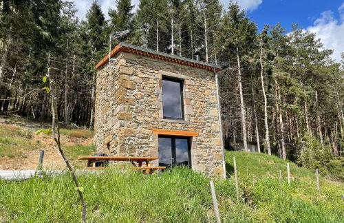 Maison de vigne rénovée à Langeac, nature et randonnées - FR-1-582-86 - Foto 6