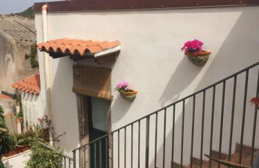 Il Nespolo - Foto 39