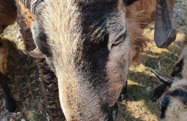 Zacisze Jurajskie - Foto 56