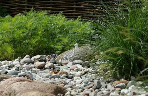 Reethus Starkikker - Foto 8