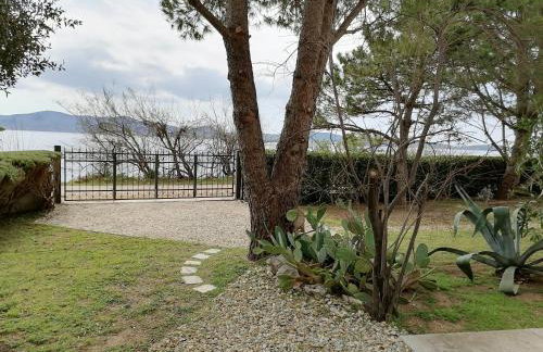 Apartmani Sruk - Foto 27