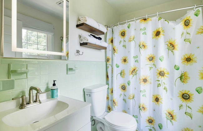 Asheville Sunset 10min to Asheville + Ping Pong - Foto 25