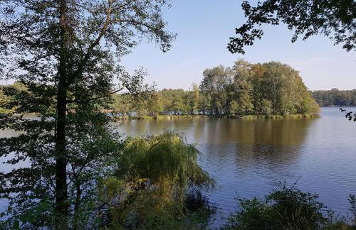 Apartment in Müncheberg 53547 - Photo 12