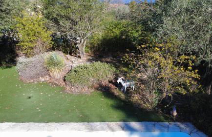 Villa Les Oliviers - Foto 33