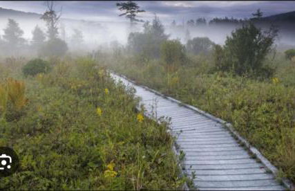 Secluded Mountain Lake Escape - Foto 55