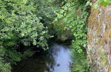 Casa da Ribeirinha - Foto 37