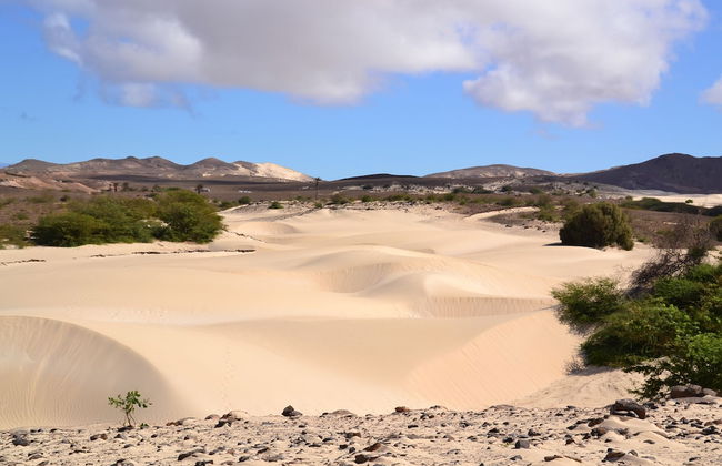 The Yellow Flat - Sea View - Foto 33