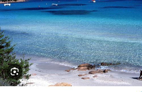 Moys apartment sea view olbia - Photo 45