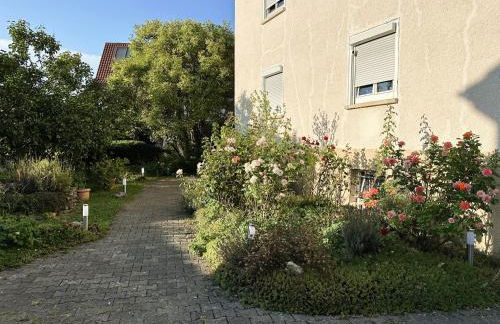 Villa Pauline - Foto 15